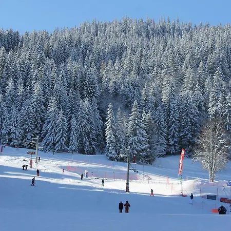 Grand Bois A1118 Cles Blanches *