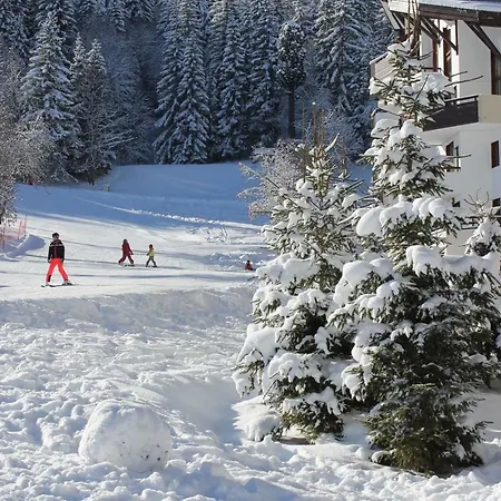 Grand Bois A1118 Cles Blanches La Tania